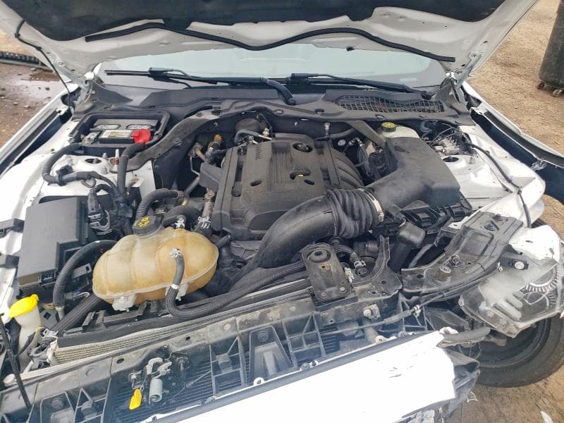 2019 FORD MUSTANG 11