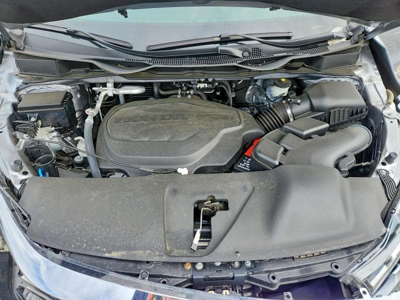 2024 HONDA ODYSSEY EXL EXL 11