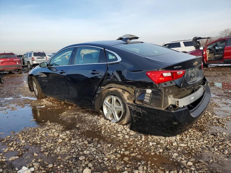 2024 CHEVROLET MALIBU LS 2