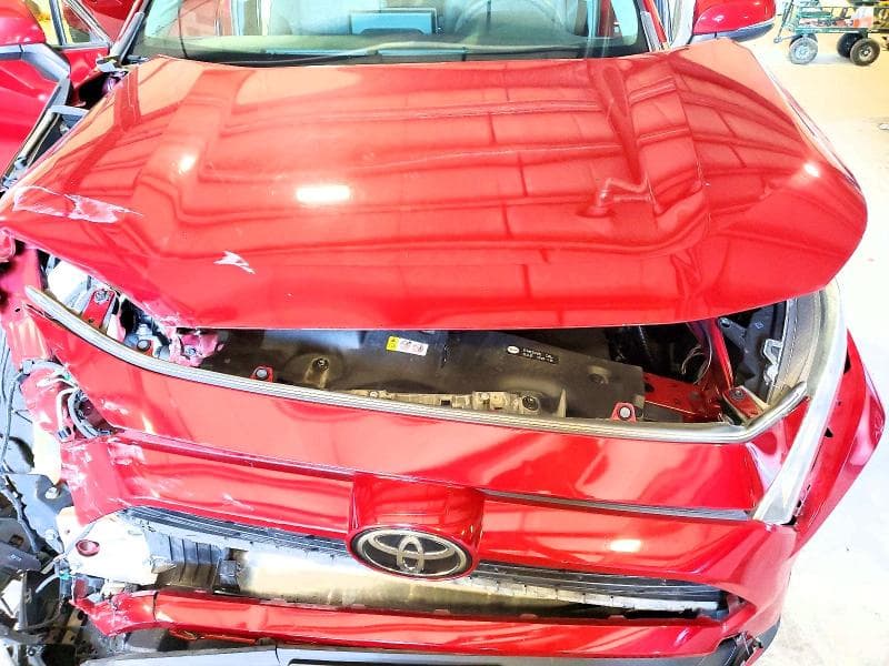 2019 TOYOTA RAV4 XLE XLE 12