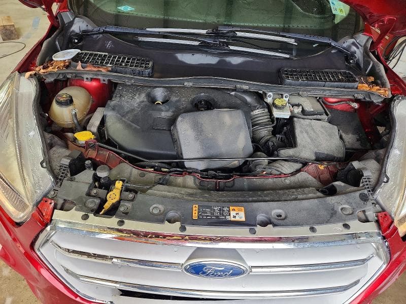 2019 FORD ESCAPE SE SE 12