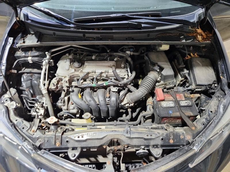 2017 TOYOTA COROLLA SE SE 11
