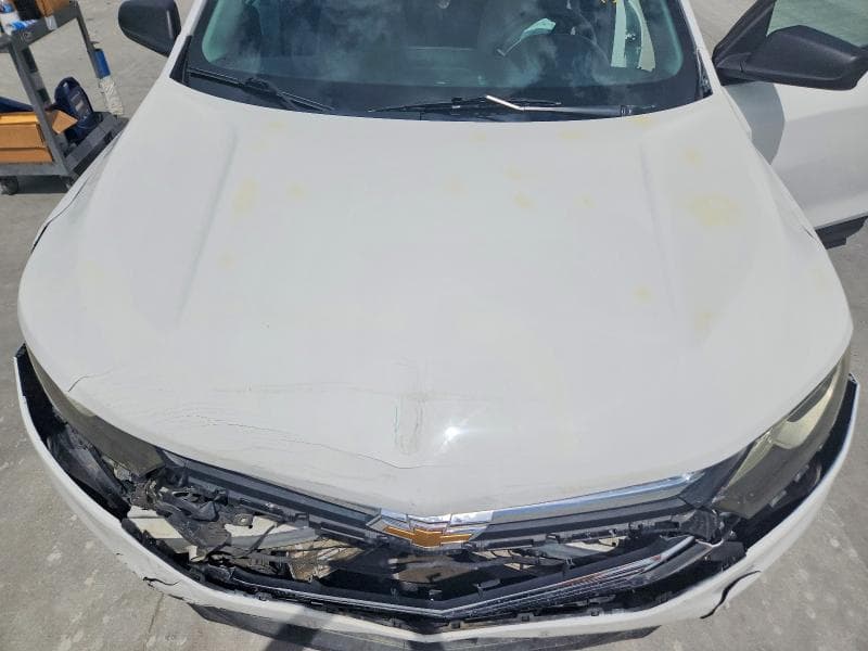 2019 CHEVROLET EQUINOX LS 12