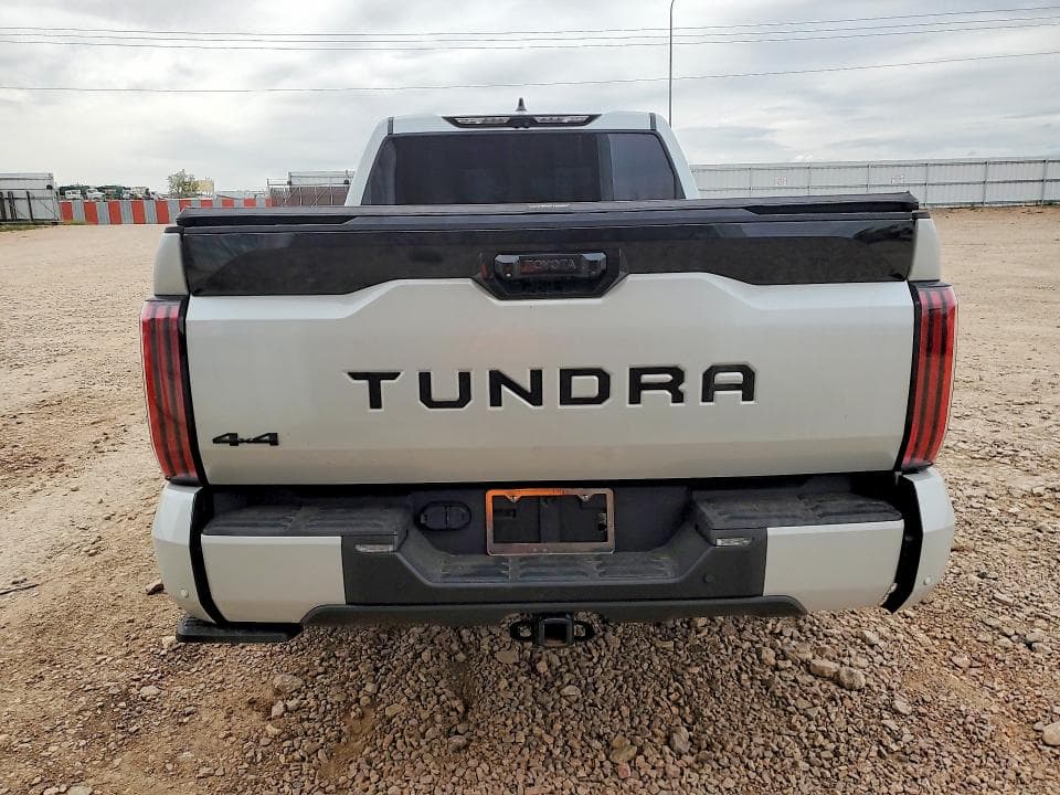 2023 TOYOTA TUNDRA PLATINUM PLATINUM 6