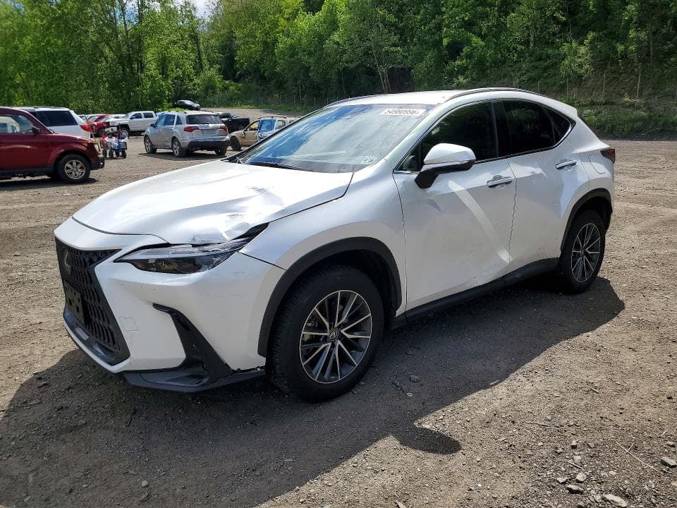 2023 LEXUS NX 250 250 - 1