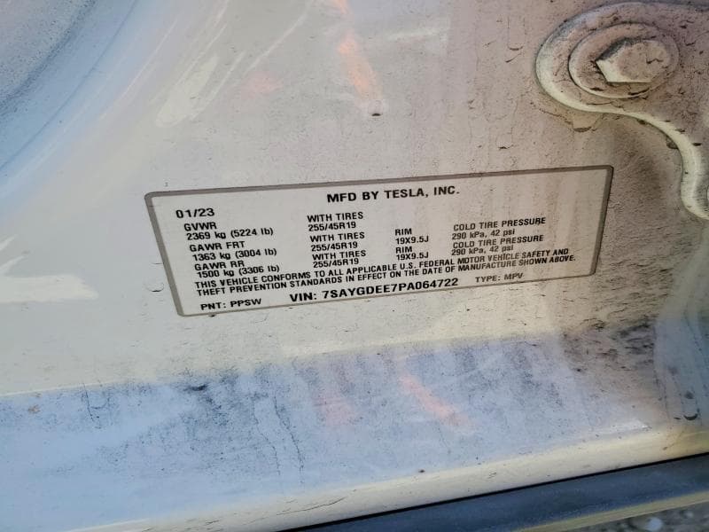 2023 TESLA MODEL Y 13