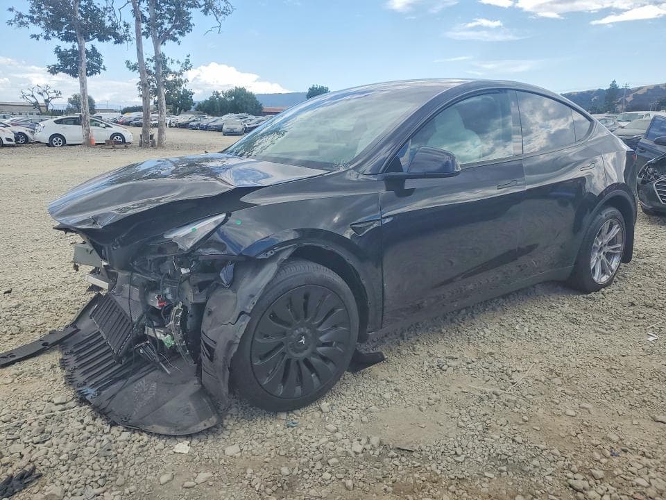 2023 TESLA MODEL Y - 1