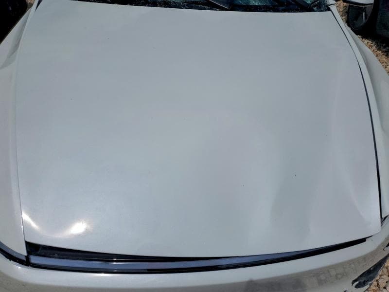 2026 TESLA MODEL Y 11