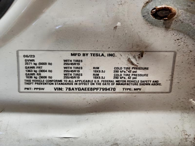 2023 TESLA MODEL Y 13