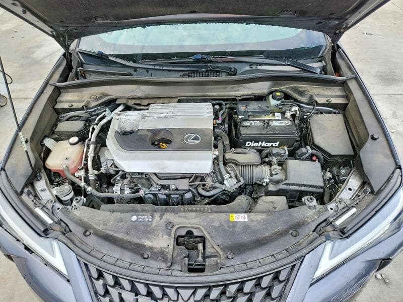 2019 LEXUS UX 200 12