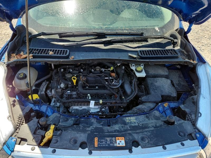 2019 FORD ESCAPE SE 12