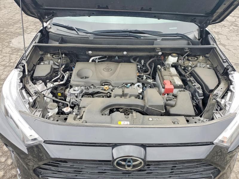 2024 TOYOTA RAV4 XLE PREMIUM XLE PREMIUM 11