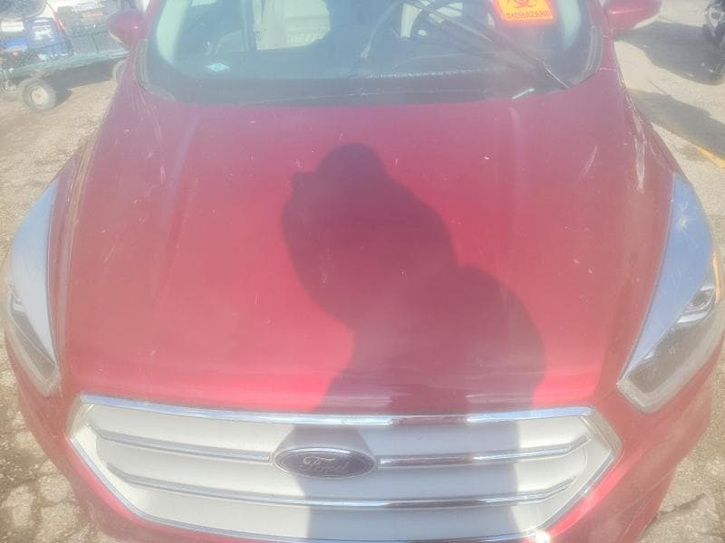 2017 FORD ESCAPE TITANIUM TITANIUM 11