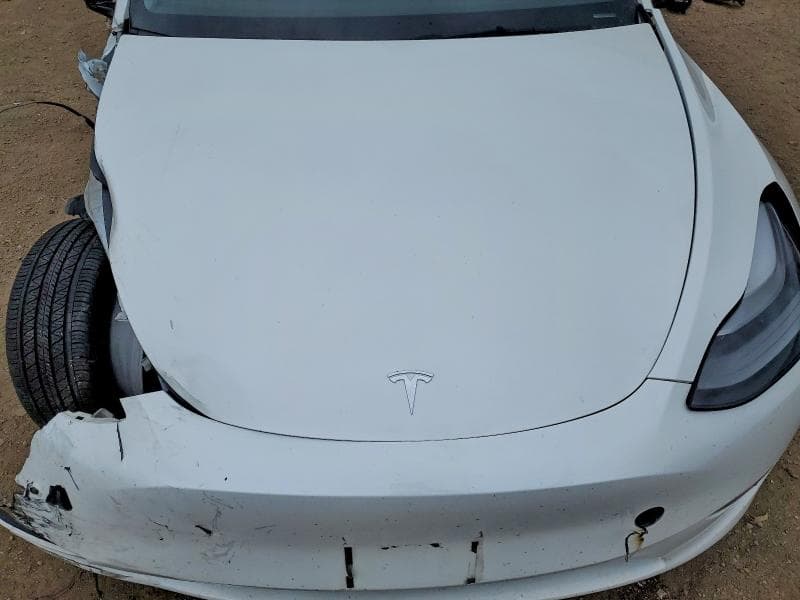 2023 TESLA MODEL Y 11