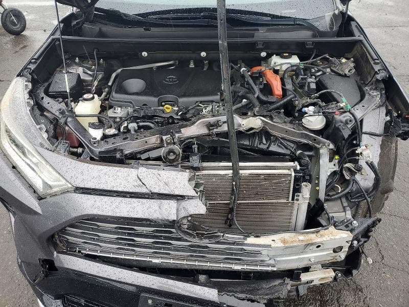 2019 TOYOTA RAV4 XSE XSE 11