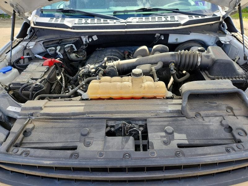 2019 FORD F150 11