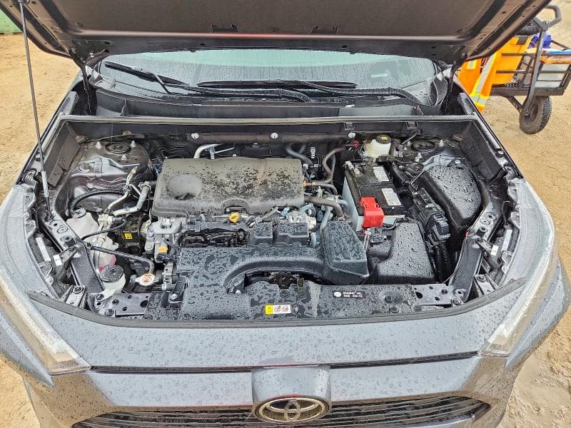 2025 TOYOTA RAV4 LE 11