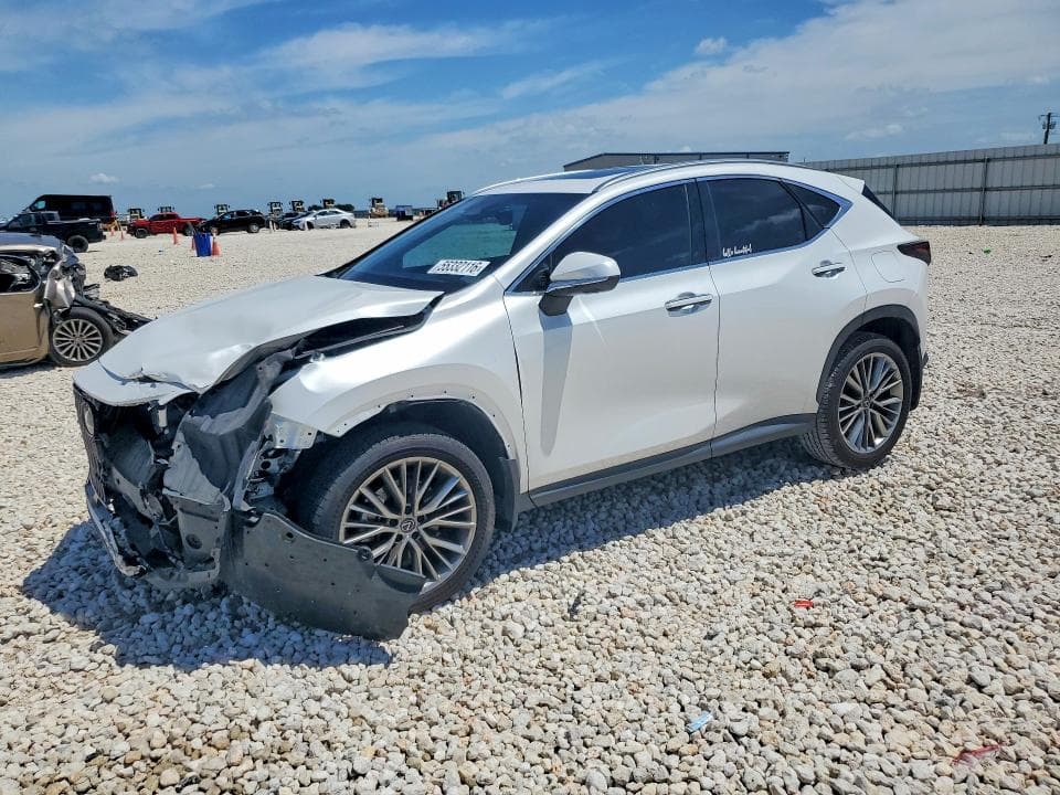 2025 LEXUS NX 350 PREMIUM - 1