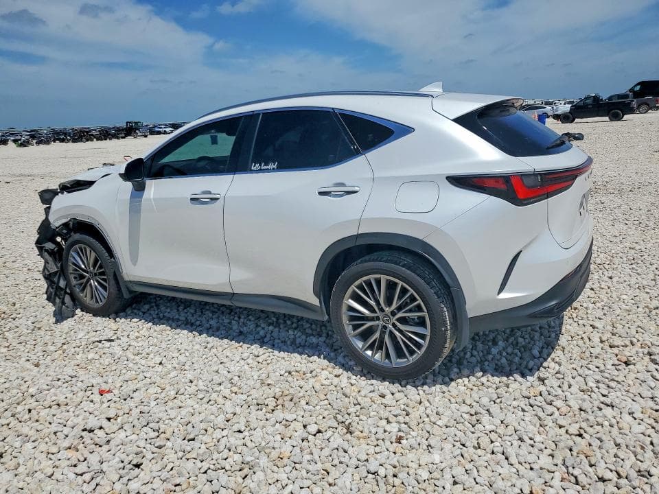 2025 LEXUS NX 350 PREMIUM 2