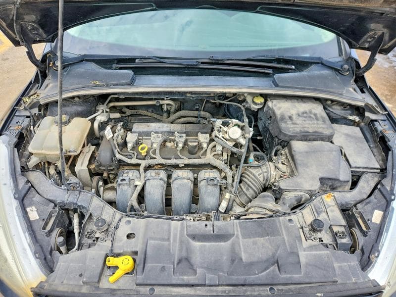 2016 FORD FOCUS SE 11