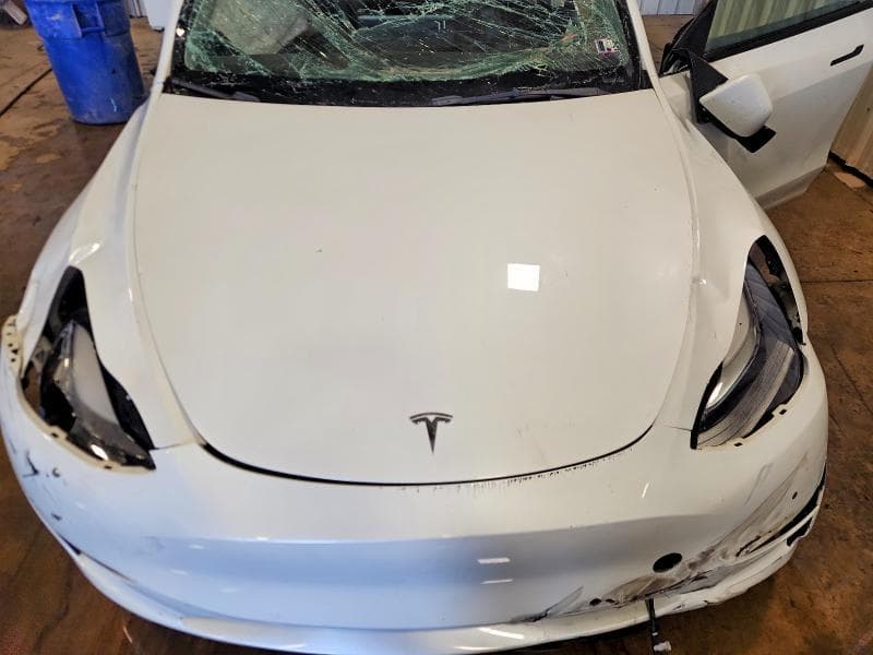 2022 TESLA MODEL Y 11