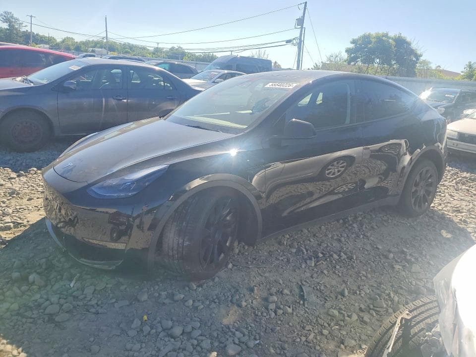 2025 TESLA MODEL Y - 1