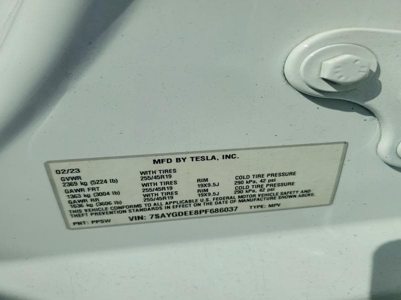 2023 TESLA MODEL Y 13