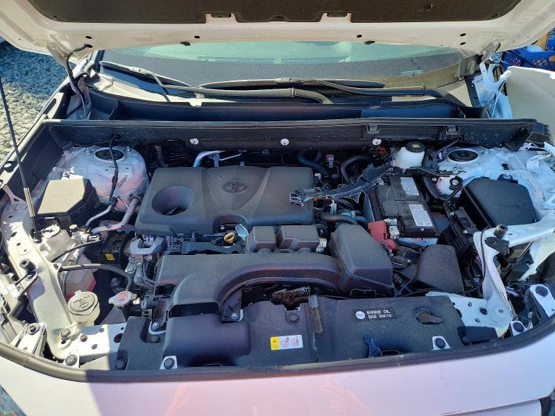 2025 TOYOTA RAV4 XLE XLE 12