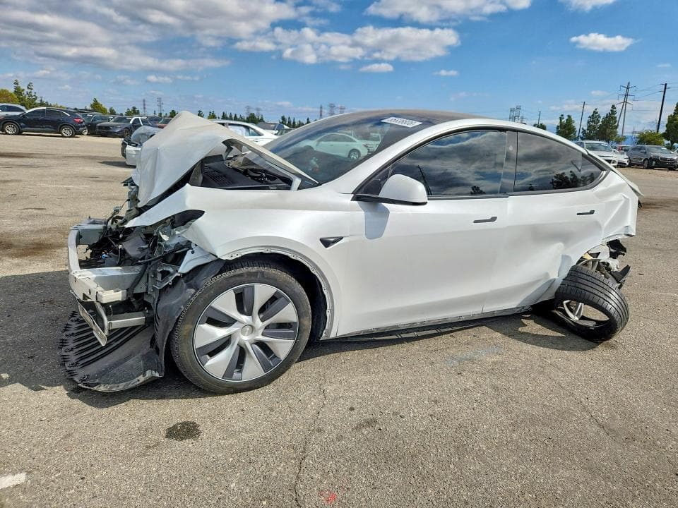 2024 TESLA MODEL Y - 1