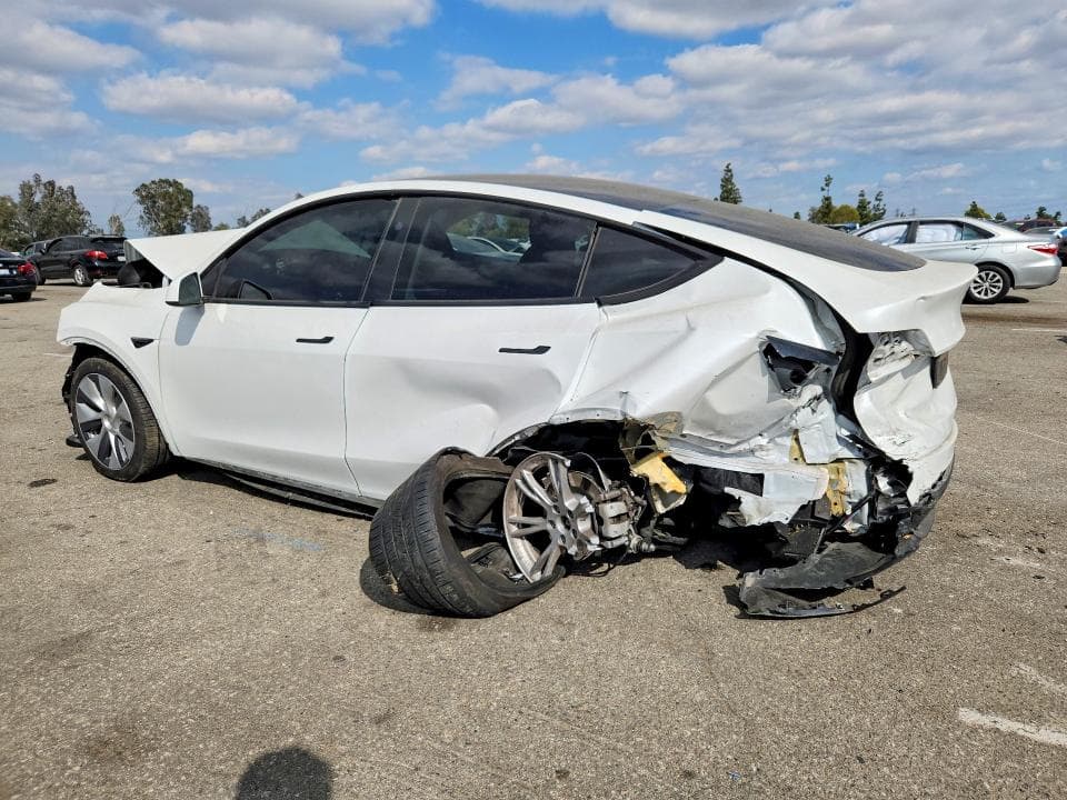 2024 TESLA MODEL Y 2