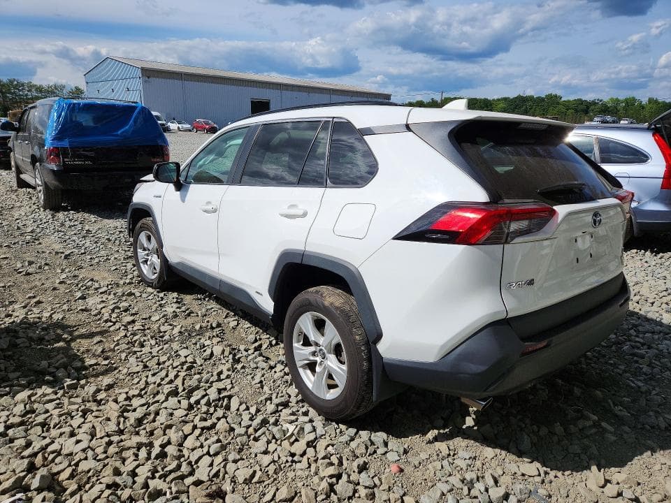 2020 TOYOTA RAV4 LE 2
