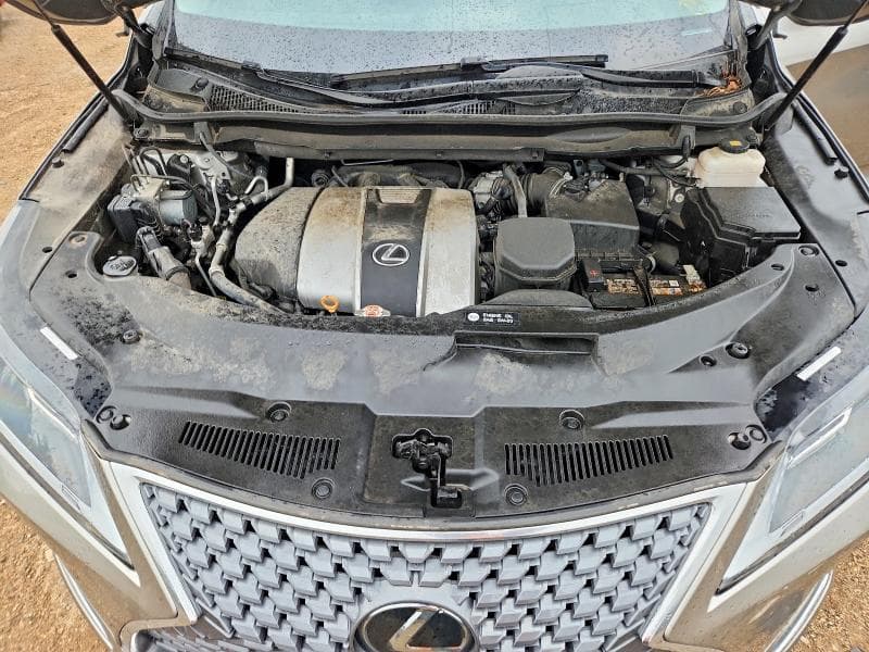 2020 LEXUS RX 350 350 11