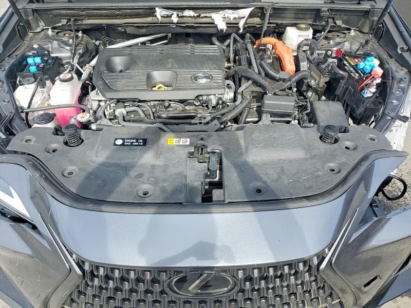 2025 LEXUS NX 350H PREMIUM 12