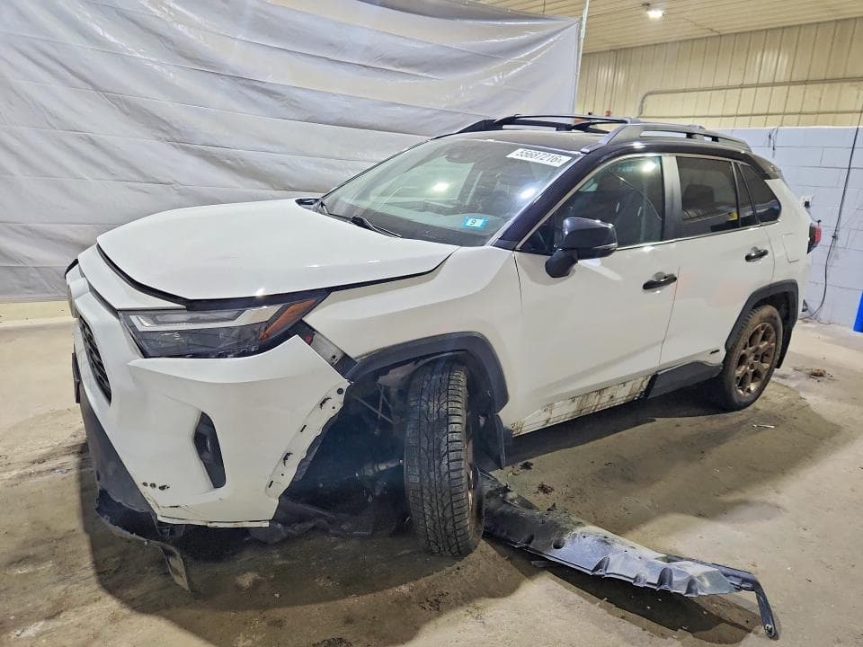 2024 TOYOTA RAV4 WOODLAND EDITION WOODLAND EDITION - 1