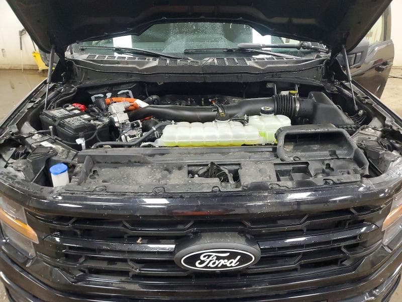 2025 FORD F150 XLT 11