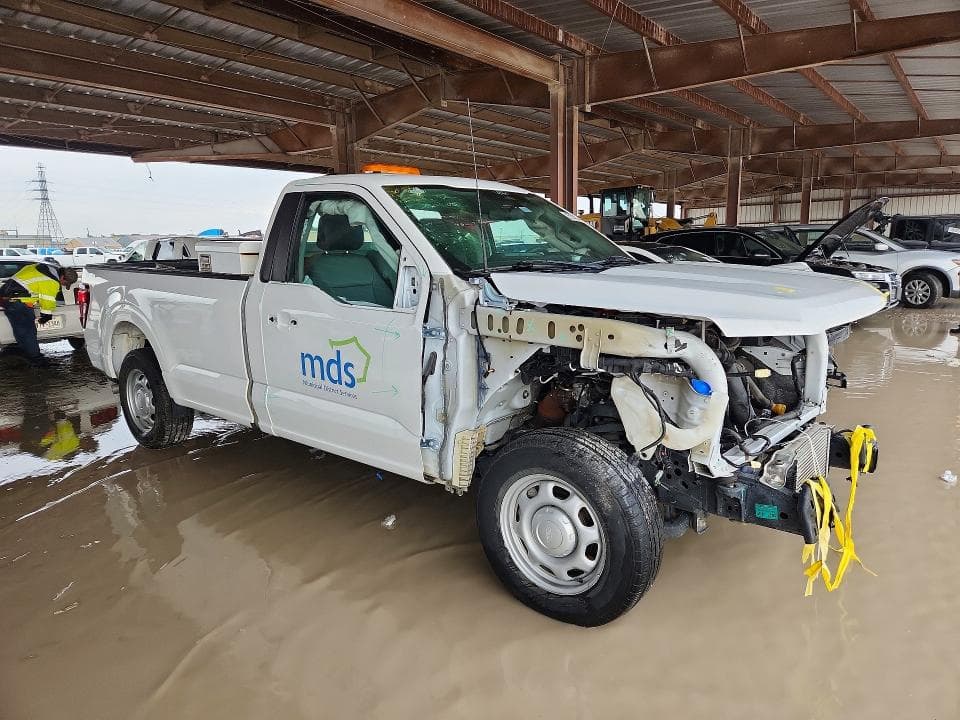 2024 FORD F150 XL 4