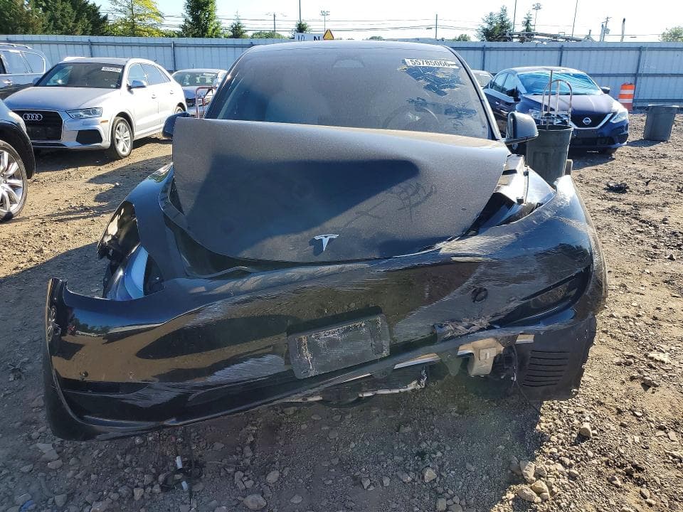 2023 TESLA MODEL Y 5