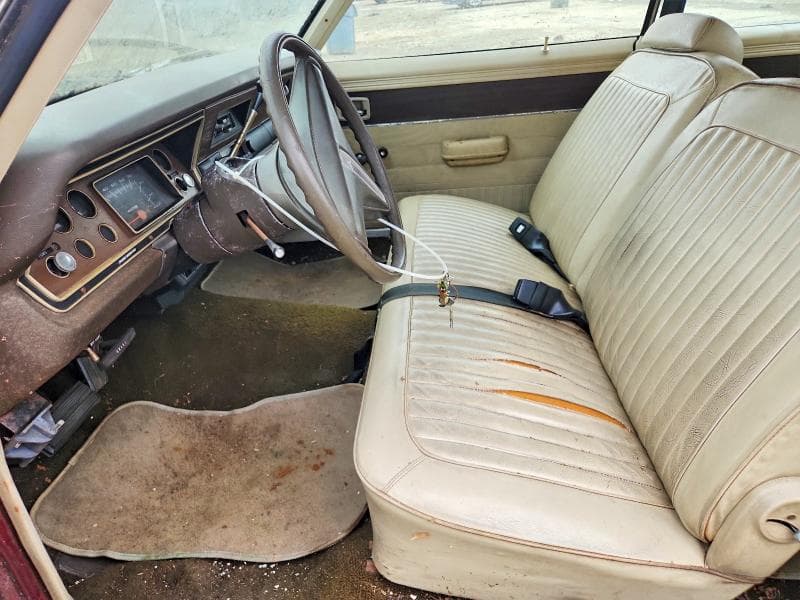 1975 DODGE DART 8