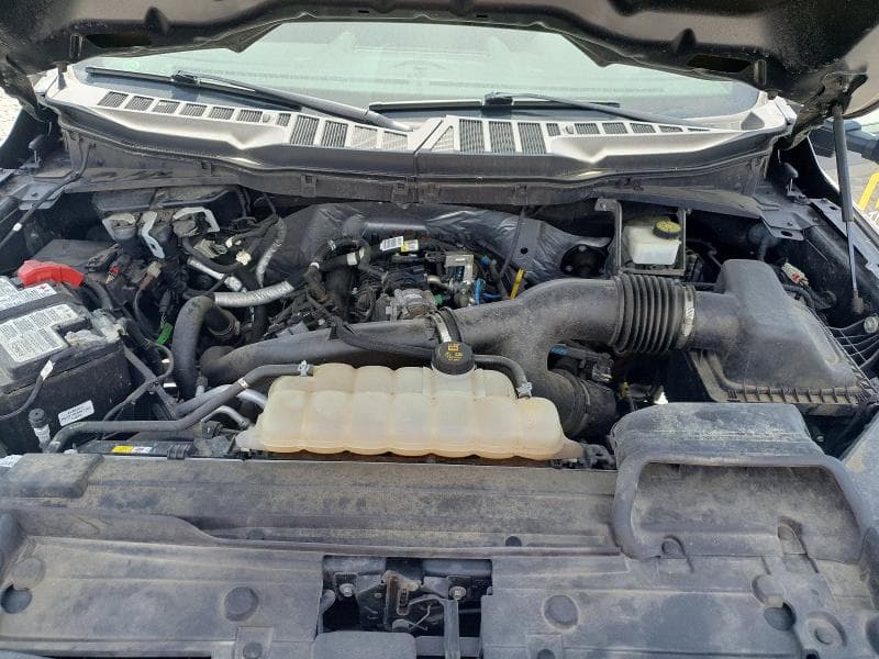 2021 FORD F-150 11
