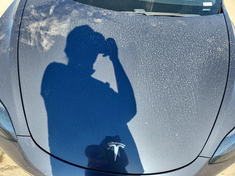 2021 TESLA MODEL 3 11