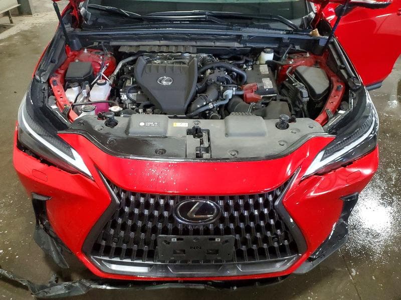 2024 LEXUS NX 350 LUXURY 350 LUXURY 11