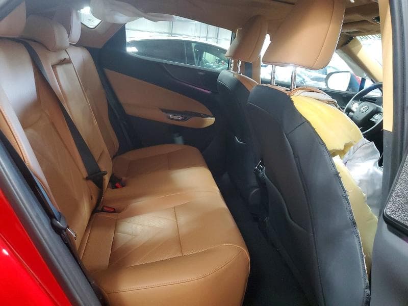 2024 LEXUS NX 350 LUXURY 350 LUXURY 10