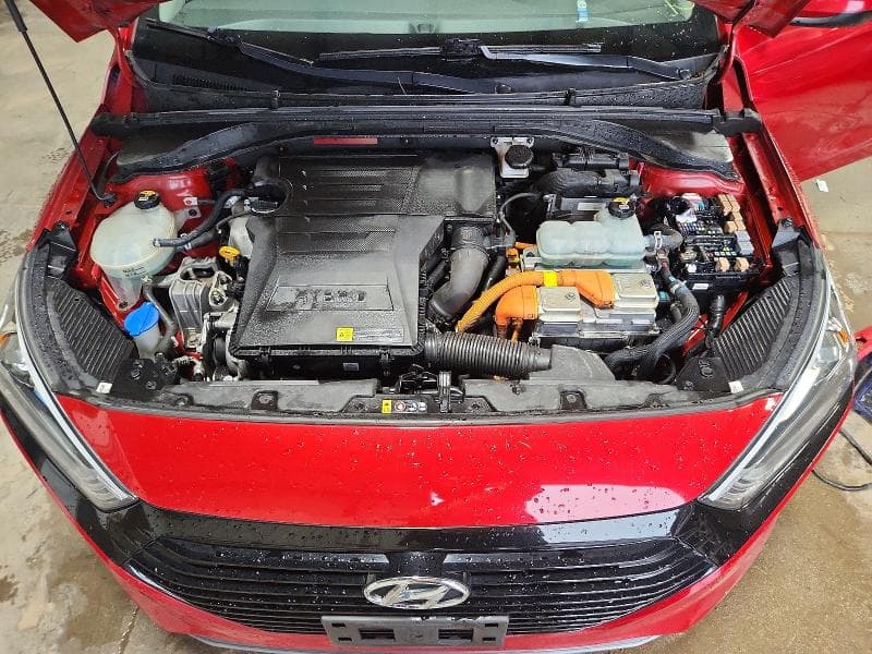 2019 HYUNDAI IONIQ BLUE 11