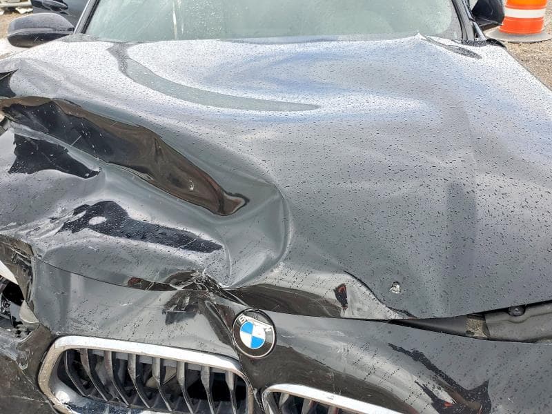 2019 BMW X2 SDRIVE28I SDRIVE28I 11