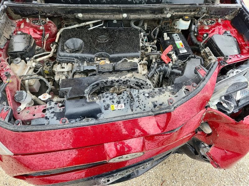 2019 TOYOTA RAV4 LE LE 11