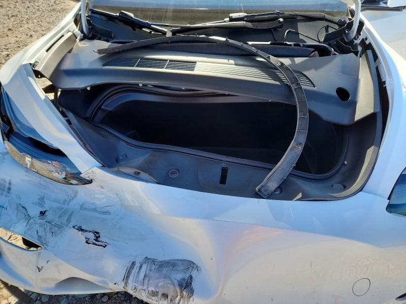 2023 TESLA MODEL Y 12