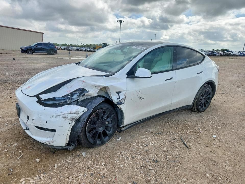 2022 TESLA MODEL Y - 1