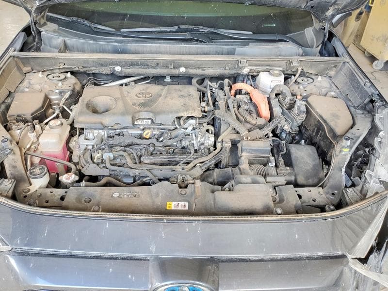 2023 TOYOTA RAV4 SE SE 12