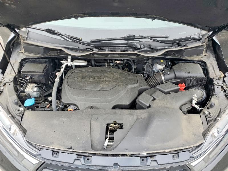 2025 HONDA ODYSSEY EXL EXL 13