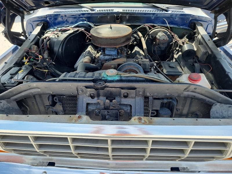 1979 FORD BRONCO 12